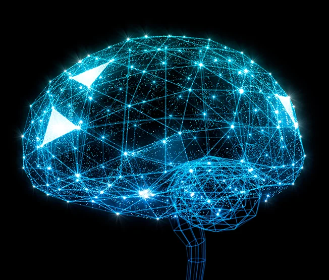 Brain Training Visualization